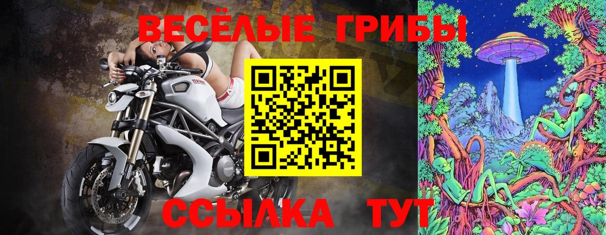 Псилоцибиновые грибы Psilocybine cubensis Ростов Великий