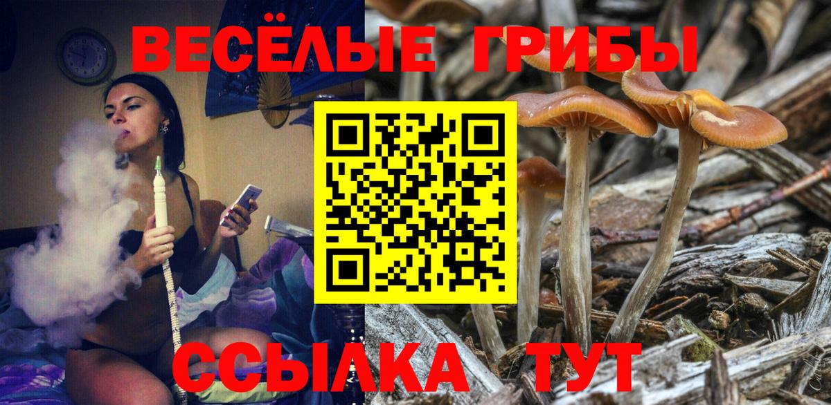 даркнет сайт  Псилоцибиновые грибы Psilocybe  Вход с VPN  Ростов Великий 
