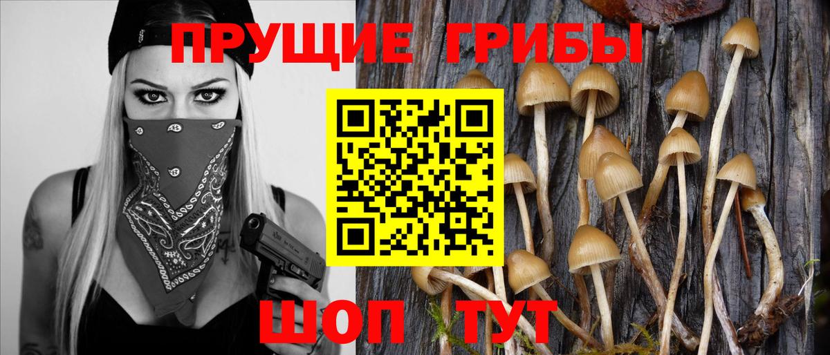 Конопля  Ростов Великий  Вход с VPN  COCAIN  Меф МЯУ МЯУ   Гашиш  Alpha PVP СК кристаллы 